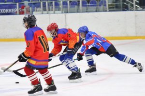 01.02.2026. Областные финальные соревнования "Золотая шайба"