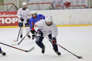 01.02.2026. Областные финальные соревнования "Золотая шайба"