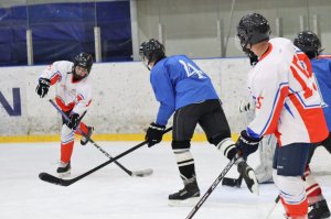 01.02.2026. Областные финальные соревнования "Золотая шайба"