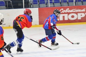 01.02.2026. Областные финальные соревнования "Золотая шайба"