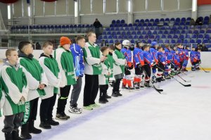 01.02.2026. Областные финальные соревнования "Золотая шайба"