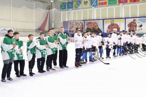 01.02.2026. Областные финальные соревнования "Золотая шайба"