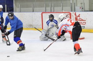 01.02.2026. Областные финальные соревнования "Золотая шайба"