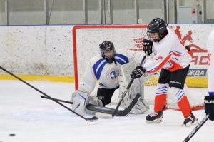 01.02.2026. Областные финальные соревнования "Золотая шайба"