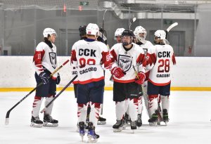 11.04.2026. Чемпионат Рязанской области 2026. Никуличи-ТЛК VS ССК