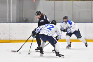 12.04.2026. Чемпионат Рязанской области 2026. Евроспорт VS Сималит