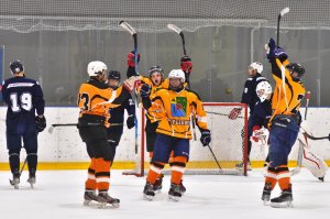17.05.2026. Чемпионат Рязанской области 2026. Евроспорт VS Рыбное