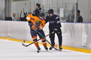 17.05.2026. Чемпионат Рязанской области 2026. Евроспорт VS Рыбное
