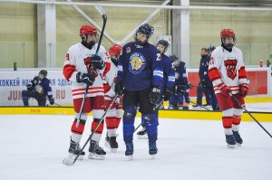 14.01.2026. Первенство Центрального федерального округа по хоккею 3х3 среди юношей до 15 лет