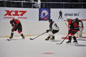 29.01.2026. "Студёный лёд" - 2026 (Касимовский МО)