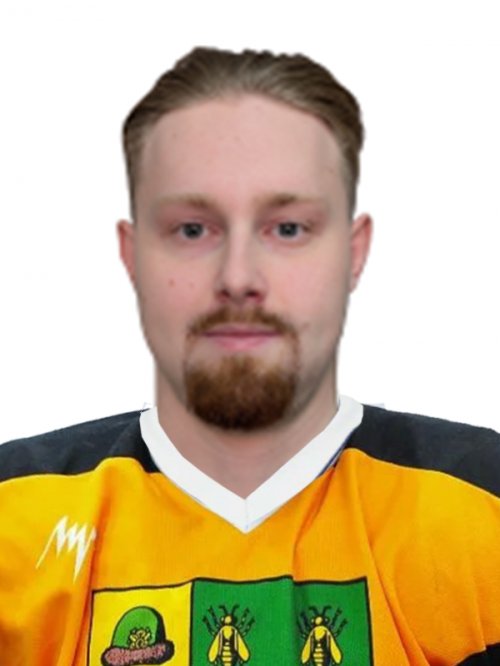Слюсарев  Никита