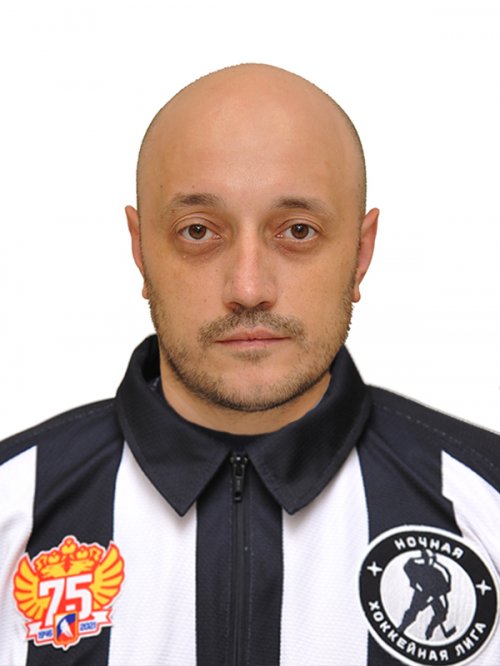 Судья Миронов Дмитрий